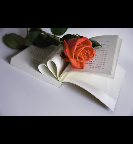 3278945517_9b0511cb20