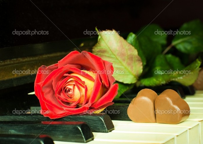 depositphotos_1885520-Rose-and-chocolate-hearts-in-a-piano - Ceva special
