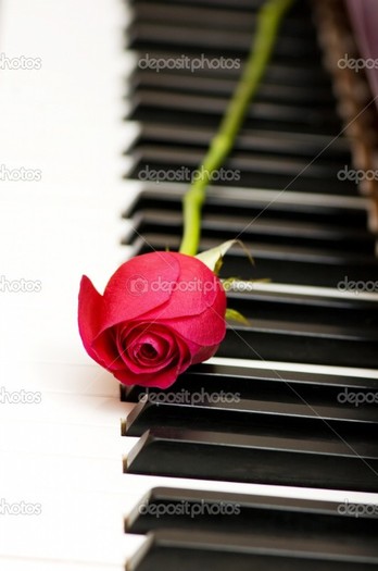 depositphotos_1940635-Romantic-concept---red-rose-on-piano