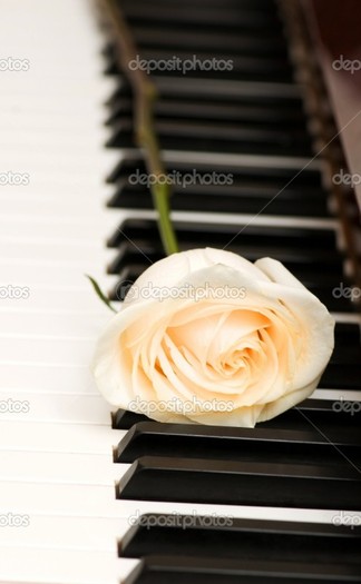 depositphotos_2695427-Romantic-concept----rose-on-piano