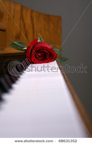 stock-photo-a-red-rose-laying-on-the-piano-keys-68631352