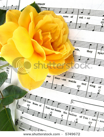 stock-photo-a-yellow-rose-on-the-music-yellow-rose-of-texas-5749672 - Ceva special