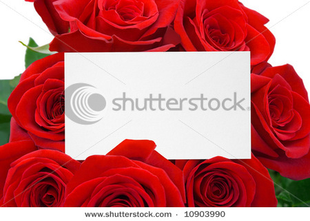stock-photo-card-and-roses-isolated-on-white-background-10903990