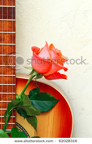 stock-photo-guitar-with-a-red-rose-against-a-wall-62028316