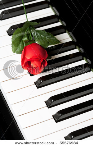 stock-photo--piano-key-and-rose-close-up-shot-55576984 - Ceva special