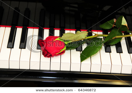 stock-photo-piano-rose-64346872 - Ceva special