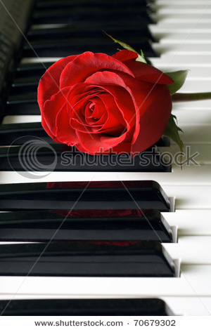 stock-photo-red-rose-and-black-and-white-keys-70679302 - Ceva special