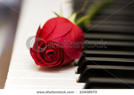 stock-photo-romantic-concept-red-rose-on-piano-keys-10458970 - Ceva special