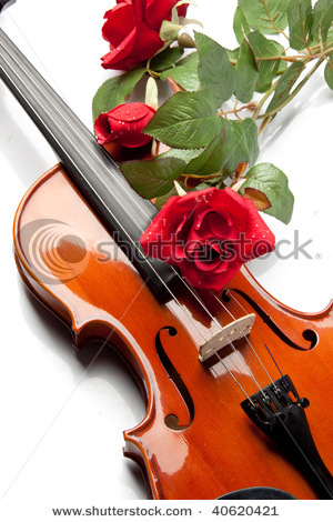 stock-photo-the-violin-and-rose-lay-on-musical-notes-40620421 - Ceva special