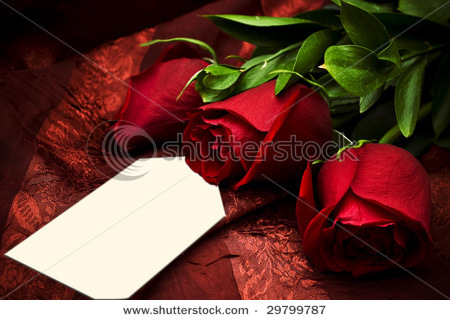 stock-photo-three-beautiful-red-roses-against-a-red-background-with-a-white-card-29799787