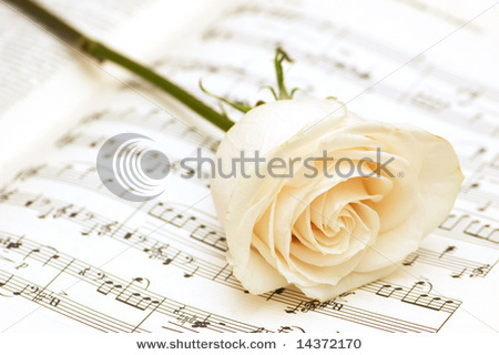 stock-photo-white-rose-on-the-musical-notes-page-14372170 (1) - Ceva special