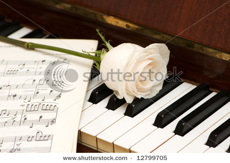 stock-photo-white-rose-over-music-sheets-and-piano-keys-12799705