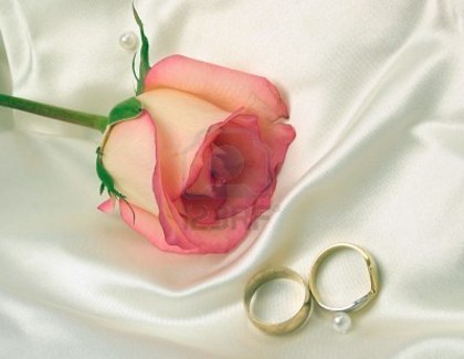 1423891-wedding-rings-and-a-rose-on-satin-bridal-gown - Together forever