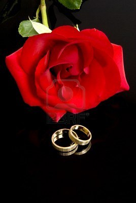 2845892-red-rose-and-wedding-rings - Together forever