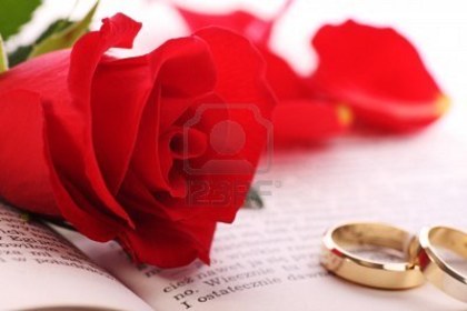4131770-red-rose-and-gold-rings - Together forever