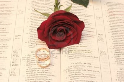 4845513-rose-with-wedding-rings-and-bible-on-black