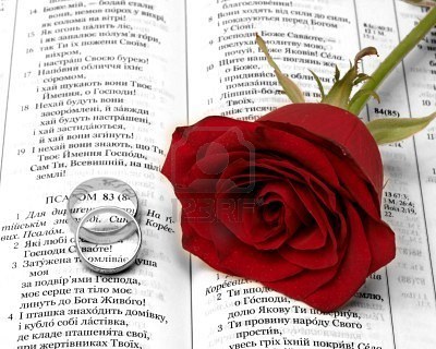5430096-red-rosa-and-gold-wedding-ringa-on-the-bible