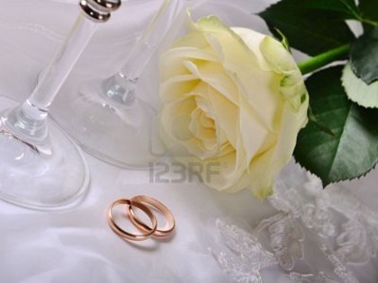 7545783-wineglass-rose-and-gold-rings-on-the-dress