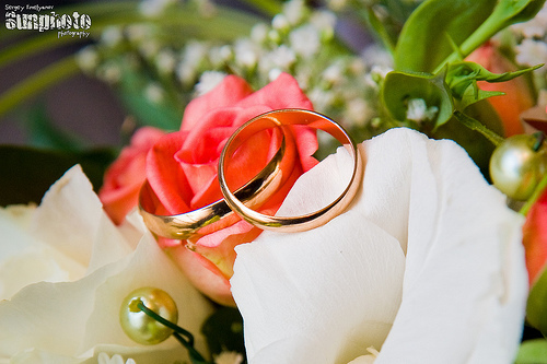 3361866251_84ccf3c32c