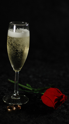 3384247603_8df9f101b9