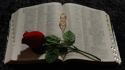 3385061368_48a25591c2