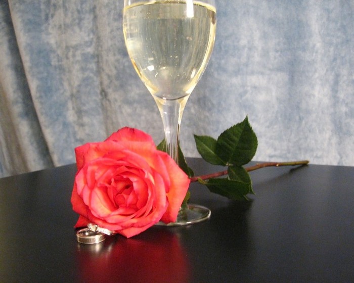 3396590397_f7f8c37414_b