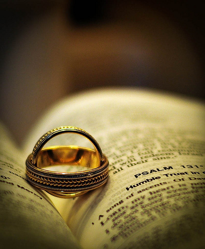 3445381138_56a3cd3330