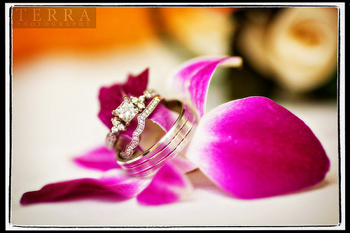 3524957750_245bbe837f