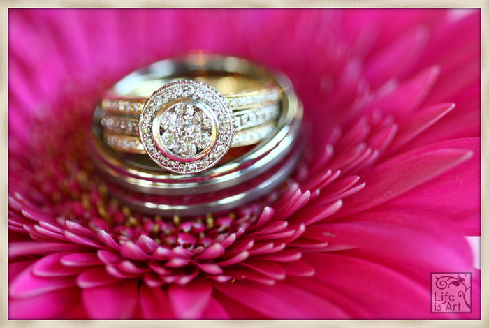 3713904369_c3f9bc5ae3_o