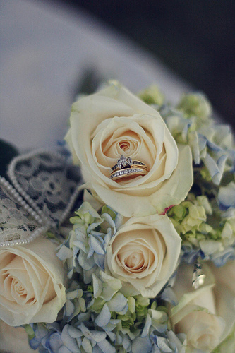 3757910205_a8f56e034f