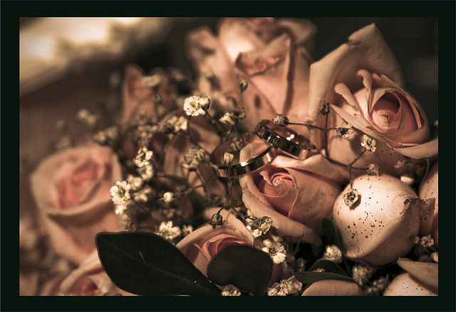 3885545801_6018d6ea86_z