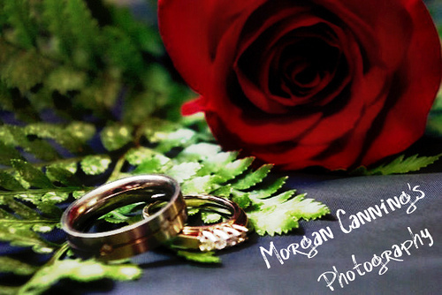 4140095504_cecefb0121