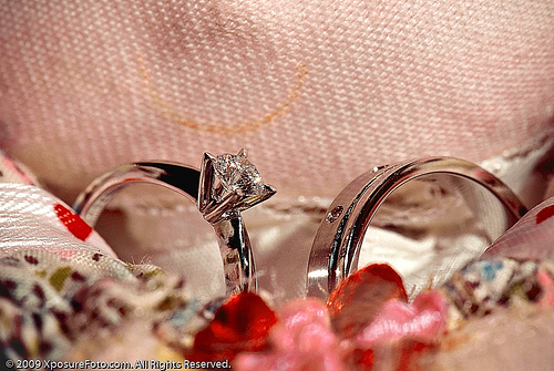 4169386324_1afa42de37