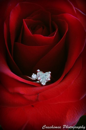 4289929972_20ed5877cd_b