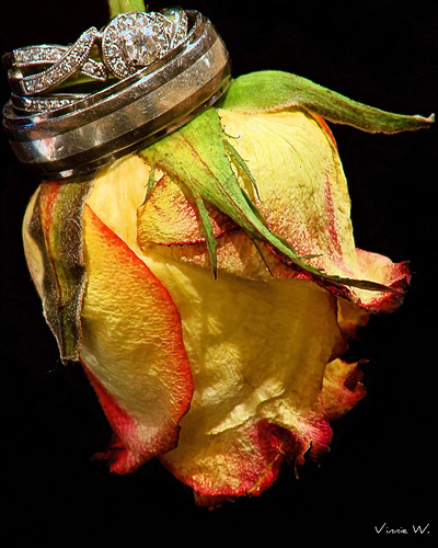 4301572935_38f3a1c68a