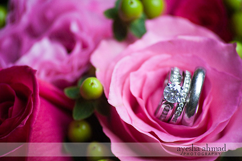 4472544698_22bffb01f6