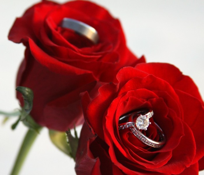 4485994676_3790178a0e_b