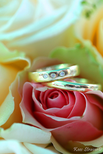 4622219232_699065bafb