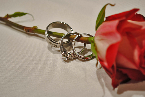 4698237640_ef0e204b76