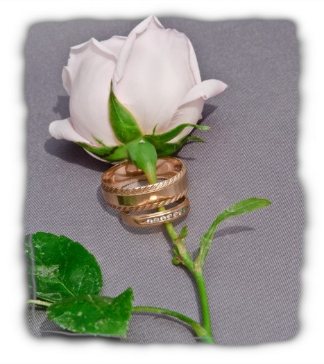 4767695539_654c904e15_b