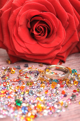 4804499787_d3829660d1