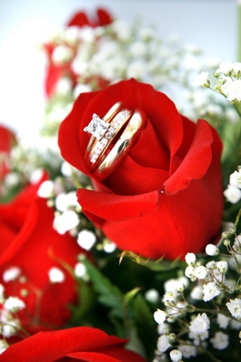 4863679956_f17fcd2ec3_b