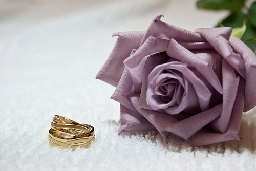 4963237423_6b38363d1c