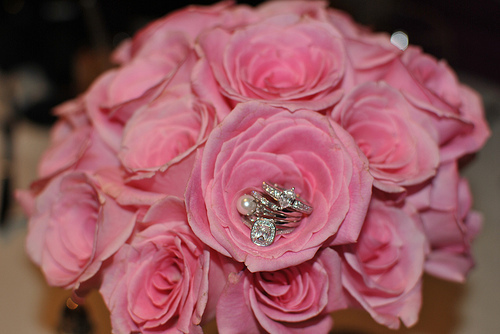 5025369589_b48a95d600