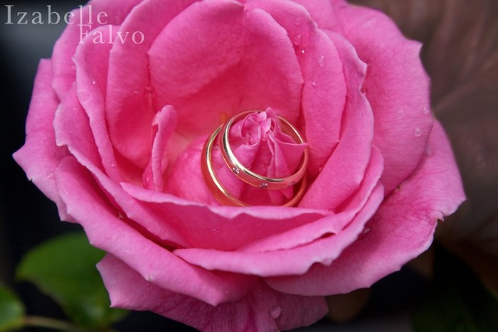 5131353228_06376b0f51_b