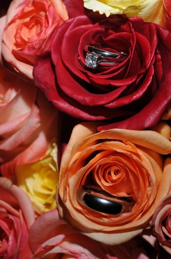 5446315384_a56931111f_b