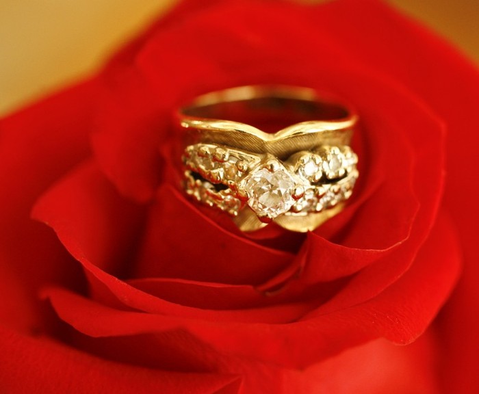 5451547450_d9ea2925ca_b