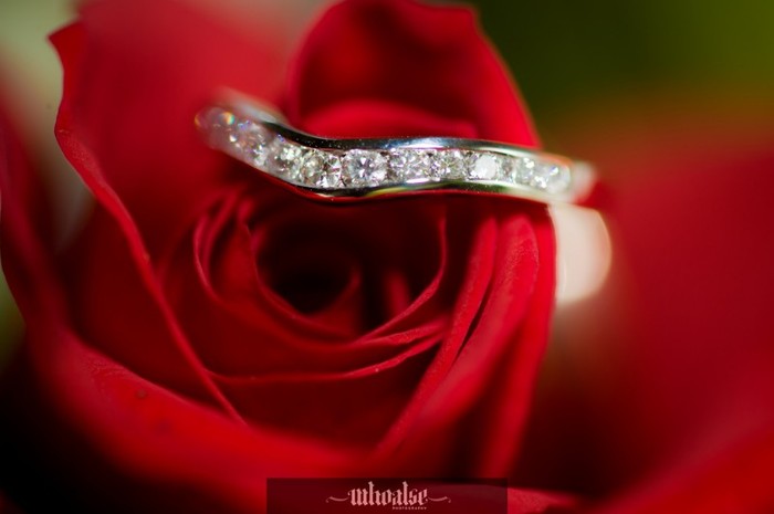 5554394516_4db964b019_b