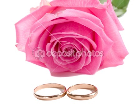 dep_1726659-Pink-rose-and-two-wedding-rings