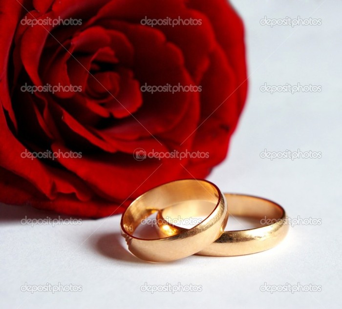 depositphotos_1068921-Rose-and-wedding-rings